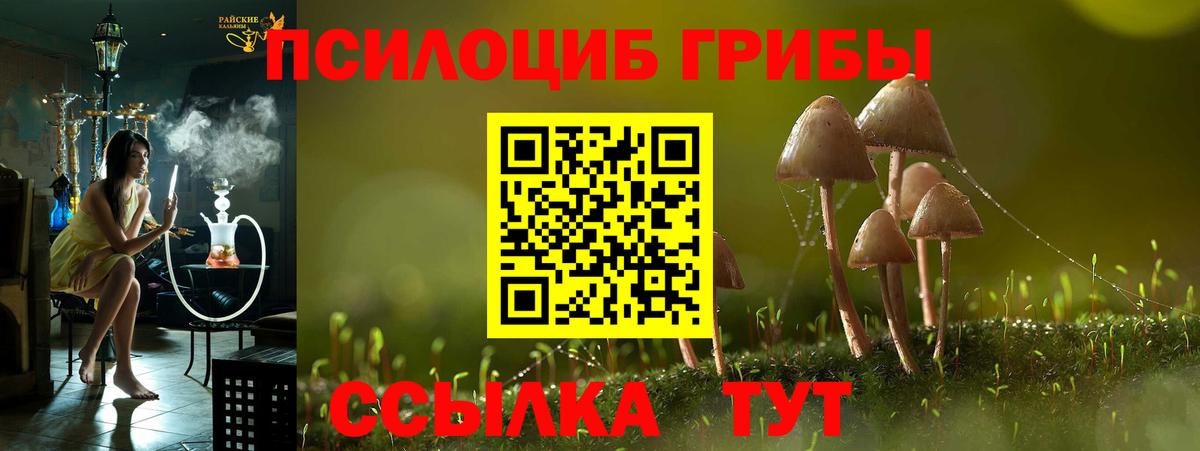 Псилоцибиновые грибы мухоморы  Вход с VPN  Псилоцибиновые грибы мицелий  Скопин 